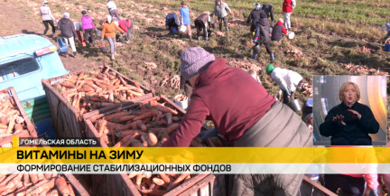 Витамины на межсезонье: как в Гомельской области происходит формирование стабилизационных фондов