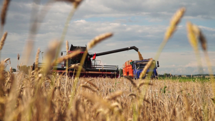 Уборочная-2025: аграрии успешно преодолевают погодные вызовы