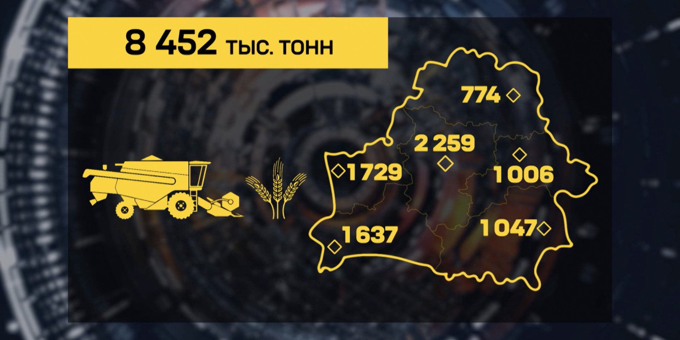 В Беларуси намолочено больше 8 миллионов 450 тысяч тонн зерна с учетом рапса