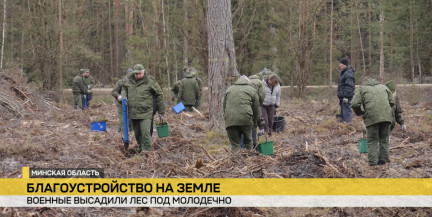 Военные высадили лес под Молодечно