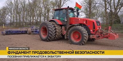 В Беларуси стартовал массовый сев картофеля, кукурузы и свеклы. Репортаж ОНТ