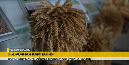 Как в Минской области убирают урожай: одни районы помогают другим