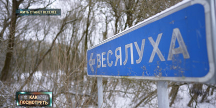 Отдохнуть от городской суеты – реально. В Беларуси продается деревня «Веселуха» – узнали больше о необычном лоте