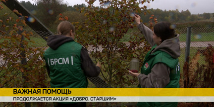 Волонтеры БРСМ помогают одиноким пенсионерам в Крупках в рамках акции «Добро старшим»