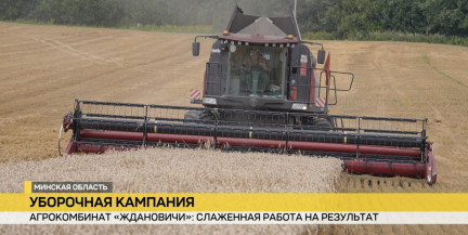 Экватор уборочной пройден: аграрии нацелены на 11 миллионов тонн зерна