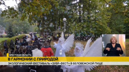 Экологический фестиваль «Зубр-фест» в Беловежской пуще собрал поклонников дикой природы