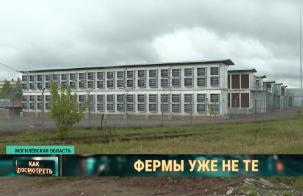 Как продвигается создание первой майнинговой фермы в Могилевской области – в сюжете ОНТ