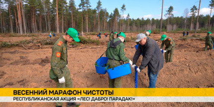 Весна – время чистоты: акция «Лес! Дабро! Парадак!» объединила Беларусь