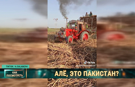 Секрет успеха: ролик про белорусский трактор в Пакистане набрал миллион просмотров в соцсетях