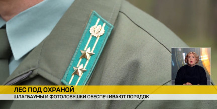 В Минске усилена охрана лесов и парков