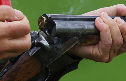 В Беларуси с 1 сентября стартует сезон охоты на бобра и выдру