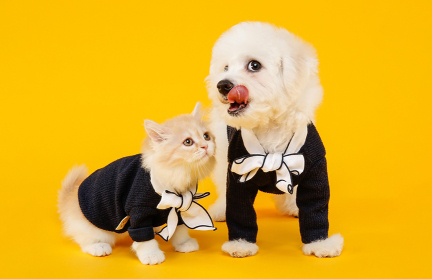 Белорусских школьников научат заботиться о животных