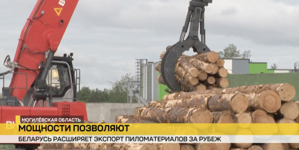 В Бобруйске появилось новое деревообрабатывающее производство