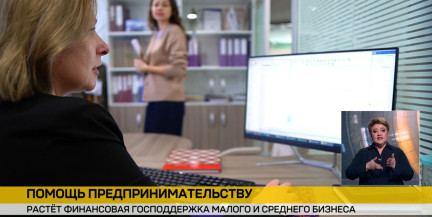 Объем господдержки малого и среднего бизнеса в Беларуси превысил 16 млрд рублей за прошлый год