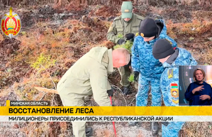 Сотрудники МВД присоединились к республиканской акции «Дай лесу новае жыццё»