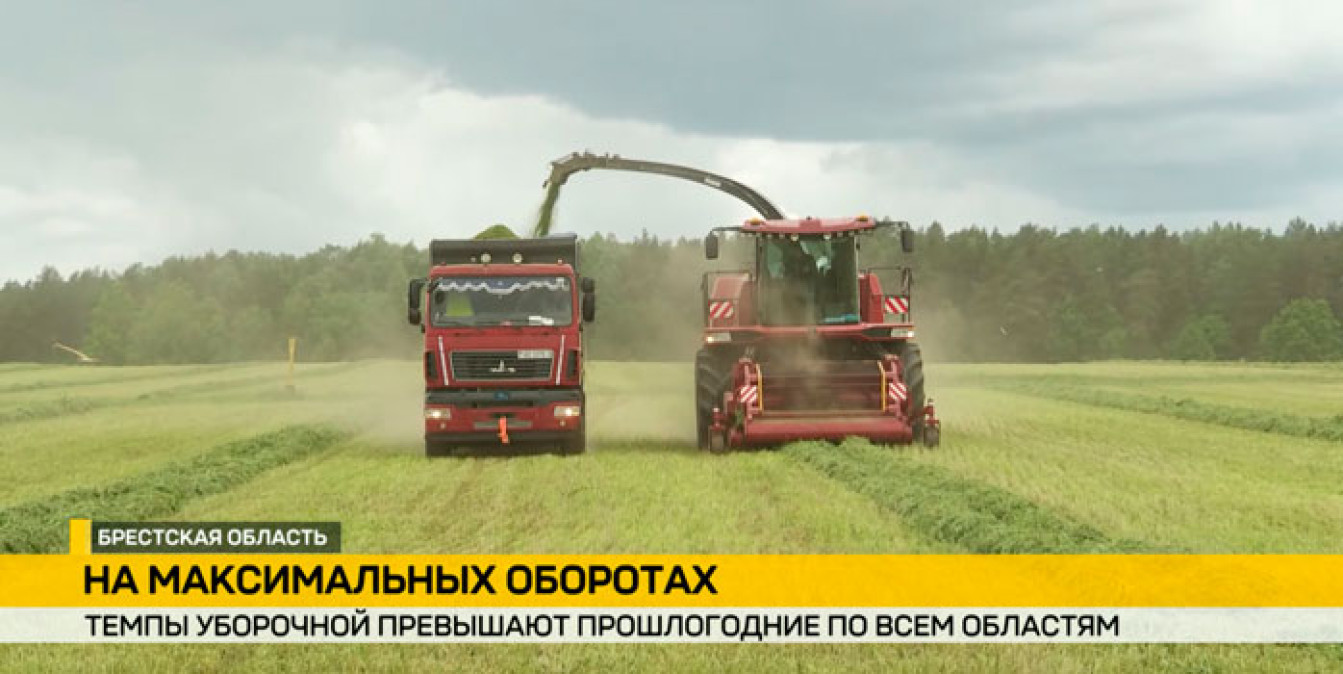 Брестская область в уборке уже преодолела отметку в 100 тысяч тонн