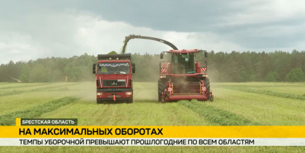 Битва за урожай: белорусские аграрии убирают озимый ячмень на максимальных оборотах вопреки дождям