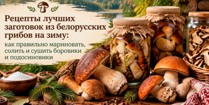​​​​​​​Рецепты лучших заготовок из белорусских грибов на зиму: как правильно мариновать, солить и сушить боровики и подосиновики