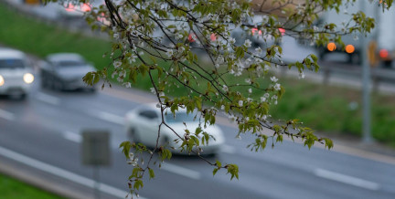 Жизнь не будет прежней: что изменится с 1 мая в Беларуси