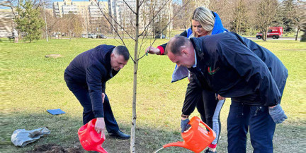 В День единения народов Беларуси и России в Минске высадили березовую аллею