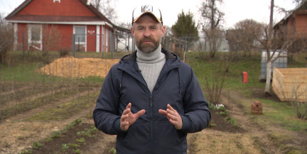 Весенний уход за клубникой: главные секреты большого урожая раскрыл садовник Кастрицкий