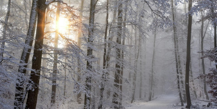 До -30. Оранжевый уровень опасности объявлен в трех областях Беларуси на 15 января из-за сильного мороза