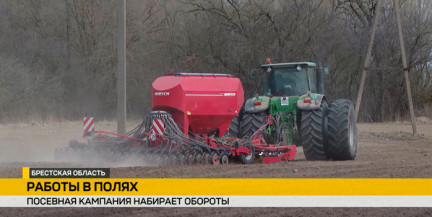 Посевная кампания в Беларуси: аграрии выполняют план на 40%, в Брестской области – почти на 90%