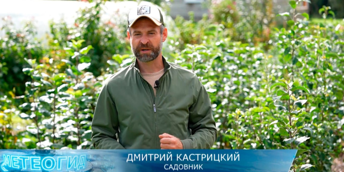 Садовник Дмитрий Кастрицкий в эфире программы «Метеогид». Мужчина в кепке и зеленой куртке стоит на фоне ухоженного зеленого сада.