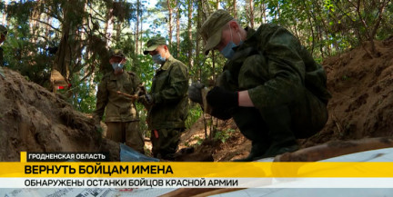 ДОТы, траншеи, патроны: как поисковики восстанавливают картину боев у Августовского канала