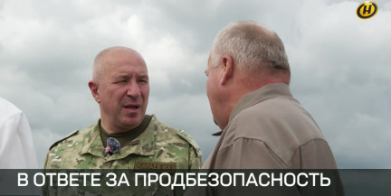 От полей до штаба: как идет уборочная кампания в регионах и что делают власти для поддержки хозяйств
