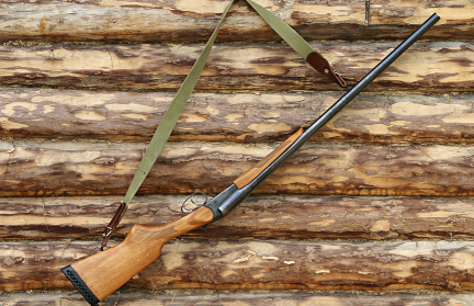 В Беларуси впервые за 40 лет добыли рысь на охоте