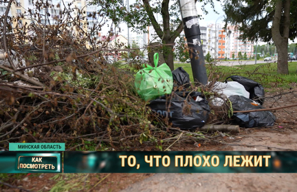 Откуда в Минском районе появились стихийные свалки и когда белорусы научатся сортировать отходы – репортаж ОНТ