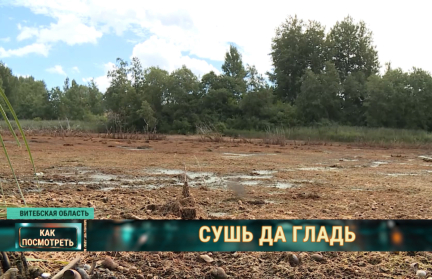 Загадка с элементом мистики? В Лепельском районе за пару дней кто-то превратил озеро в болото