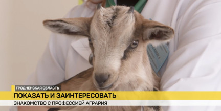 Погладить змею, козленка и увидеть в пробирке ДНК коровы. Как привлекают молодежь в аграрные профессии