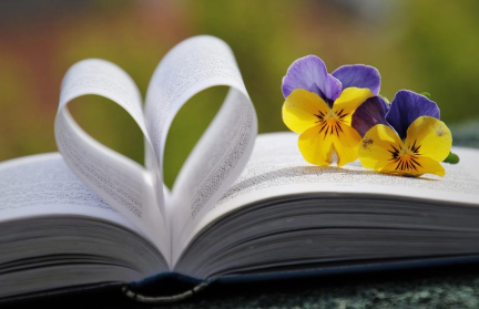 «Лабубу», «сигма» и «цифровой рубль» стали кандидатами на звание «Слово года» в России