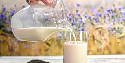 Кому нельзя молочные продукты, рассказала нутрициолог