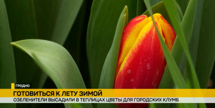 Гродненские озеленители готовятся к весенне-летнему сезону