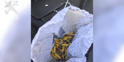 Таможенники изъяли 54 патрона в авто из Литвы на белорусской границе