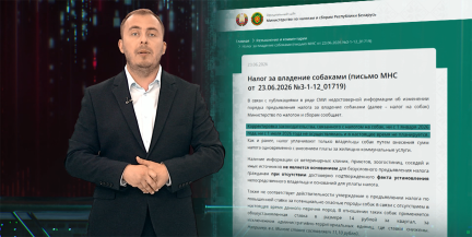В соцсетях распространяют фейк о росте налога на собак