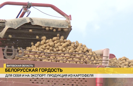 Толочинский консервный завод единственный в стране производит картофель фри