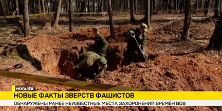 В Могилеве нашли ранее неизвестные места захоронений периода Великой Отечественной войны