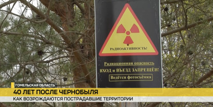 Жизнь после катастрофы. Как чернобыльские территории начинают новую жизнь
