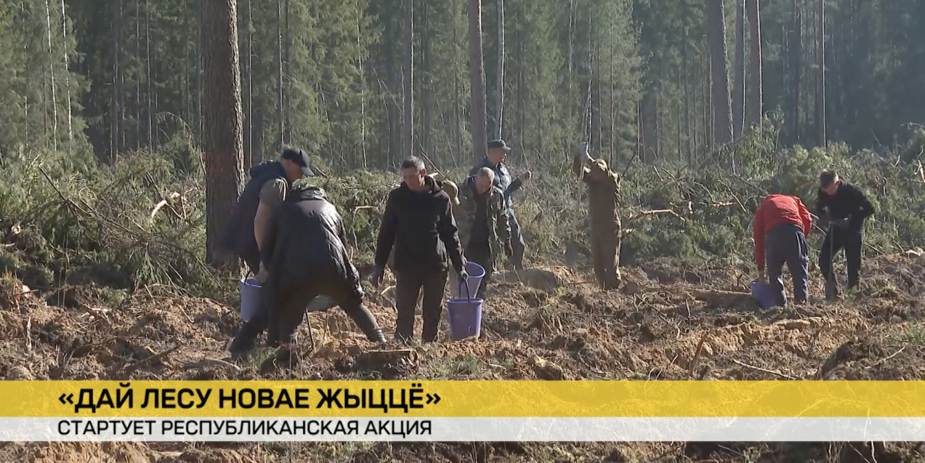 Республиканская акция стартует в Беларуси