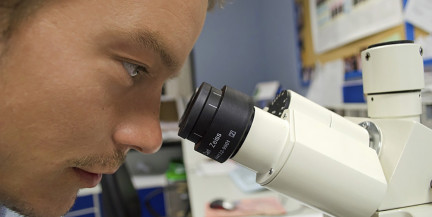 Ученые нашли в специи новые вещества, вызывающие гибель раковых клеток