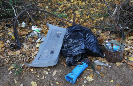 Президент о несанкционированных свалках: Заехал самосвал, выбросили