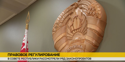 Законопроекты для улучшения жизни: Совет Республики рассмотрел инициативы по развитию Беларуси