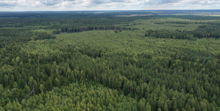 На Минщине будут разбрасывать с воздуха капсулы с вакциной: для кого они предназначены