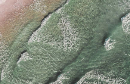 Минское море позеленело. Что происходит, пояснили специалисты