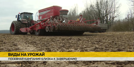 Как проходит посевная в Беларуси и на что делают ставку аграрии – в репортаже