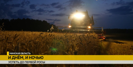 Комбайны работают от заката до рассвета: как проходит ночная жатва – в репортаже ОНТ
